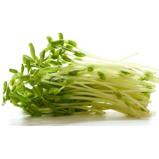 Hạt Giống Rau Mầm Bông Cải Xanh Italia 20G