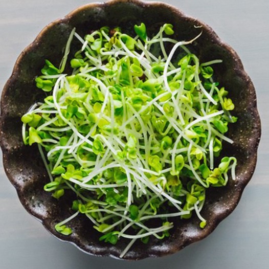 Hạt Giống Rau Mầm Bông Cải Xanh Italia 20G