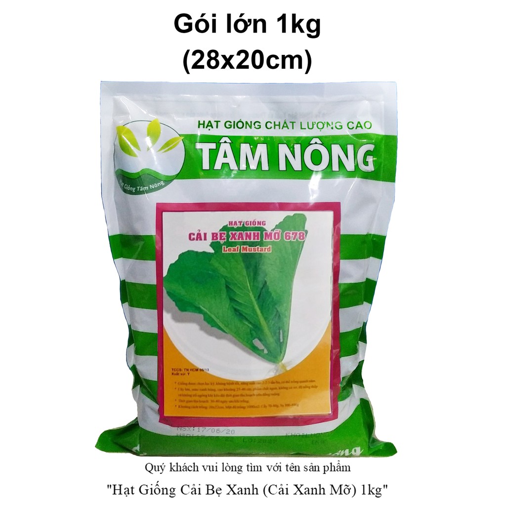 Túi Lớn 1Kg  Hạt Giống Cải Bẹ Xanh Dễ Trồng