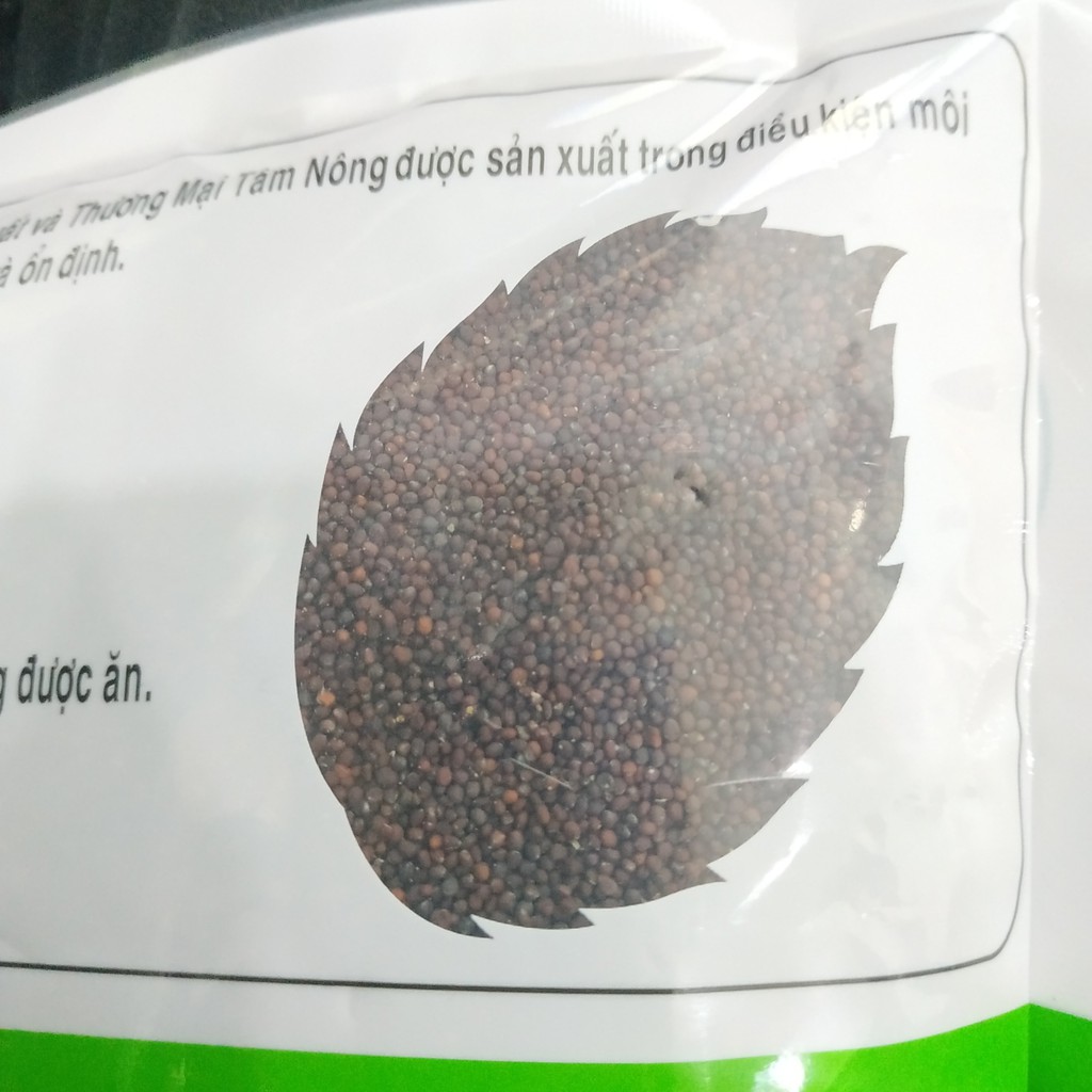 Túi Lớn 1Kg Hạt Giống Rau Mầm Bông Cải Xanh Italia Dễ Trồng