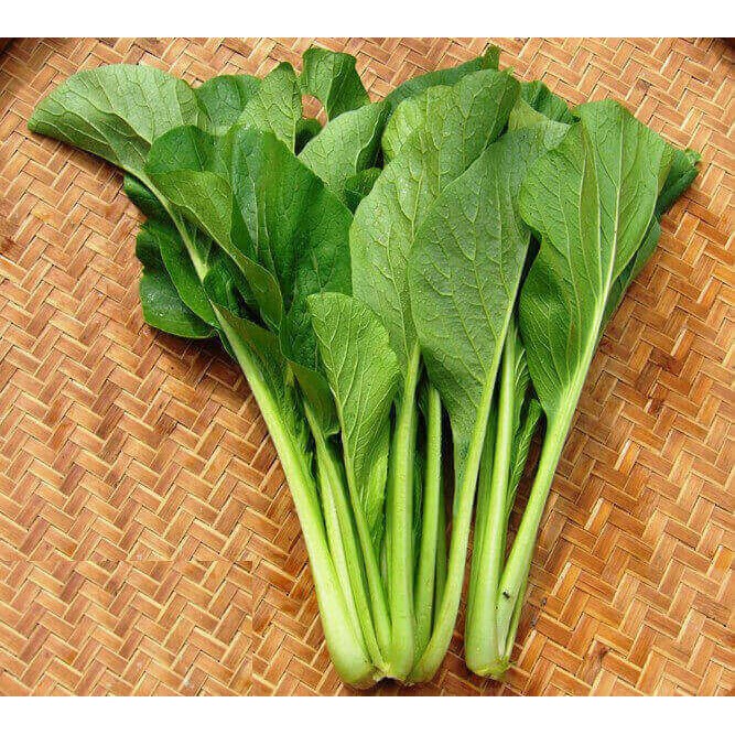 Hạt Giống Cải Ngồng (Cải Ngọt Ăn Bông)