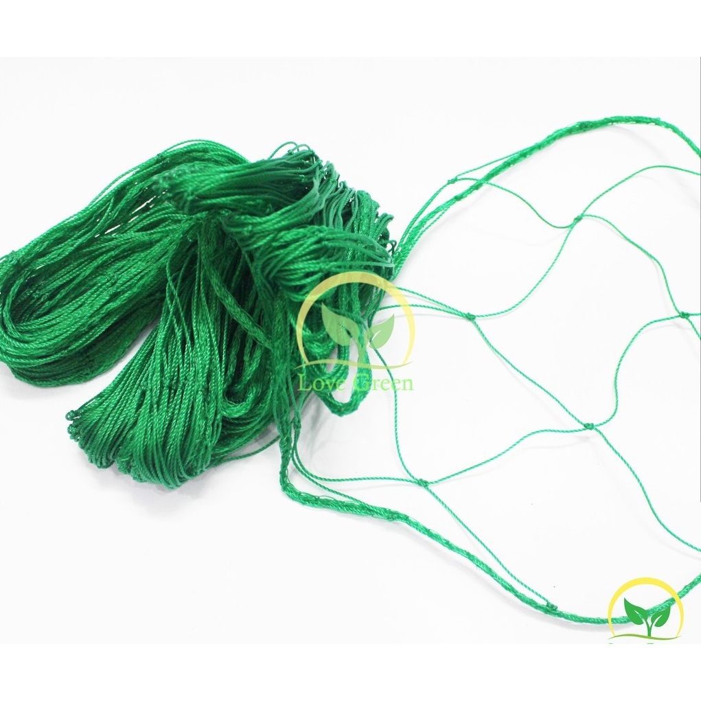 Lưới Giàn Dây Leo Rosa 2X3M