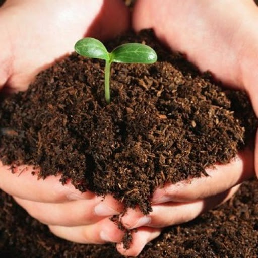 Giá Thể Mùn Dừa Hapigreen 2Kg (Trồng Rau Mầm hoặc Thủy Canh)