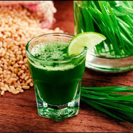 Hạt Giống Mầm Lúa Mạch 100G