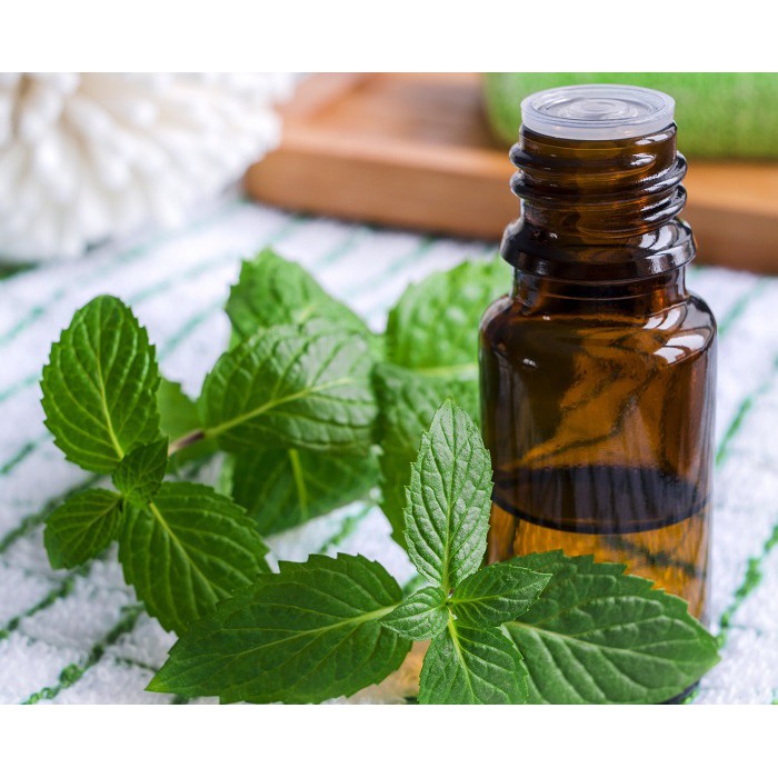 Hạt Giống Bạc Hà Âu 200Mg