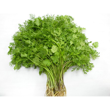 Hạt Giống Ngò Bạc Liêu (Ngò Rí) 20G