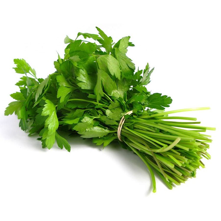 Hạt Giống Ngò Hạt Lớn Pháp 20G