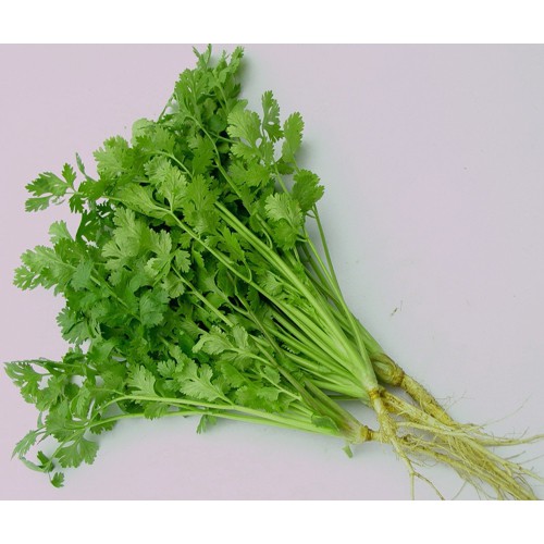 Hạt Giống Ngò Hạt Lớn Pháp 20G