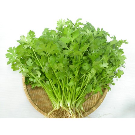 Hạt Giống Ngò Hạt Lớn Pháp 20G