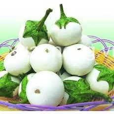 Hạt Giống Cà Pháo Trắng Cao Sản 500Mg