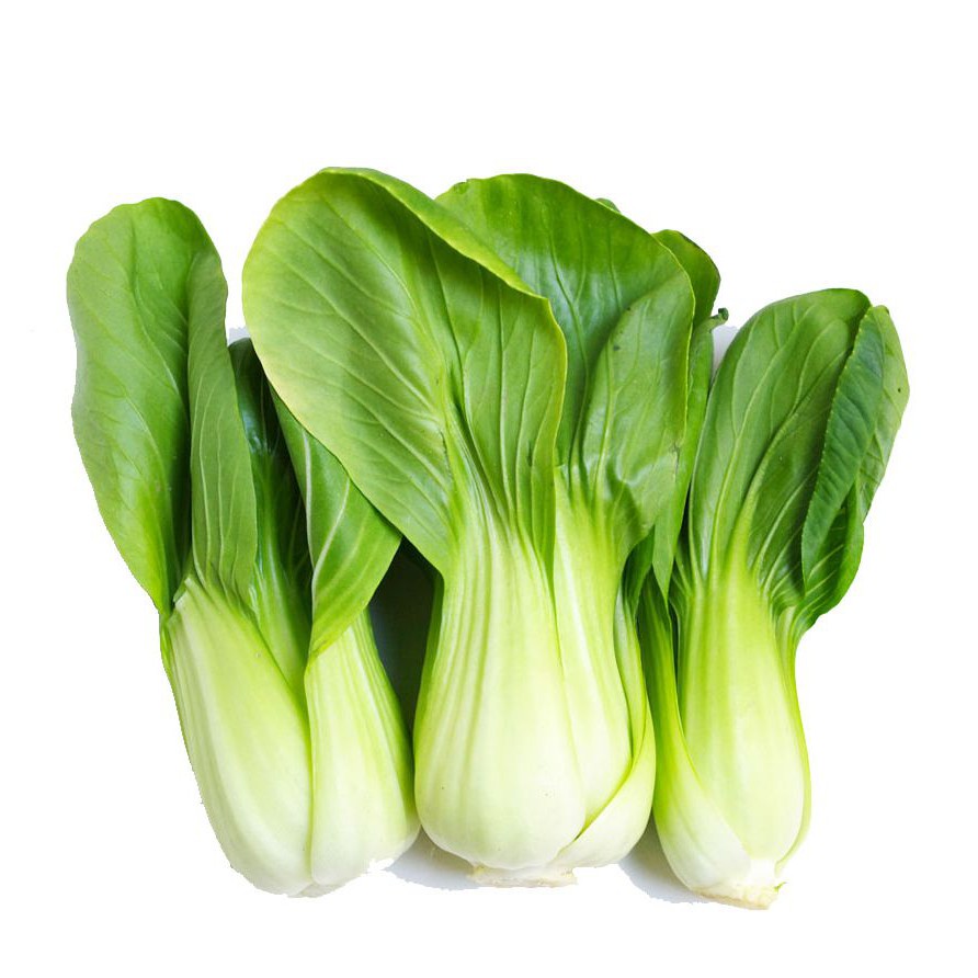 Hạt Giống Cải Thìa Cao Sản (Cải Chíp)