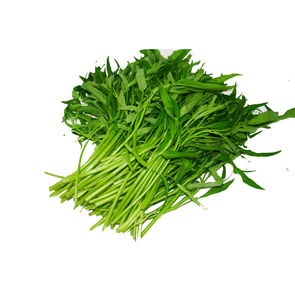 Hạt Giống Rau Muống Cao Sản