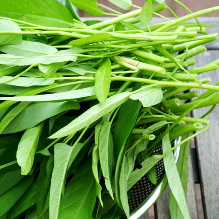 Hạt Giống Rau Muống Cao Sản