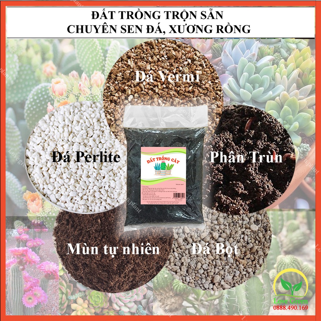 Đất Trồng Cây Chuyên Dụng Cho Sen Đá