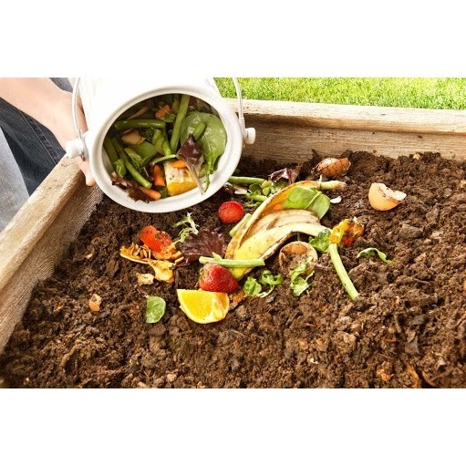 Ủ Phân Hữu Cơ Chế Phẩm Vi Sinh Vật Tks-M2 100G