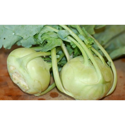 Hạt Giống Su Hào 2G