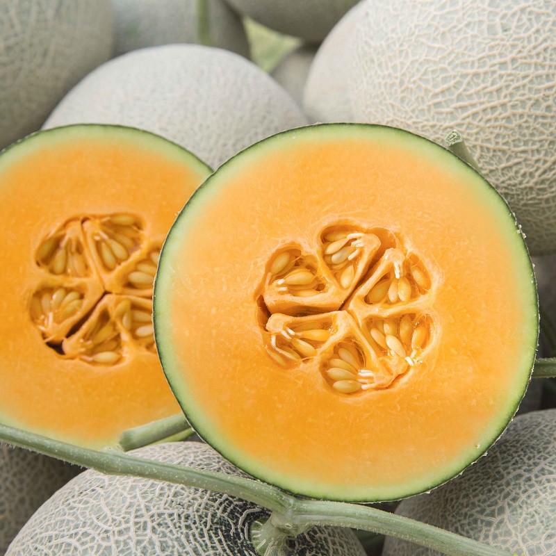 Hạt Giống Dưa Lưới Gói 10 Hạt Độ Đường Cao, Đặc Ruột