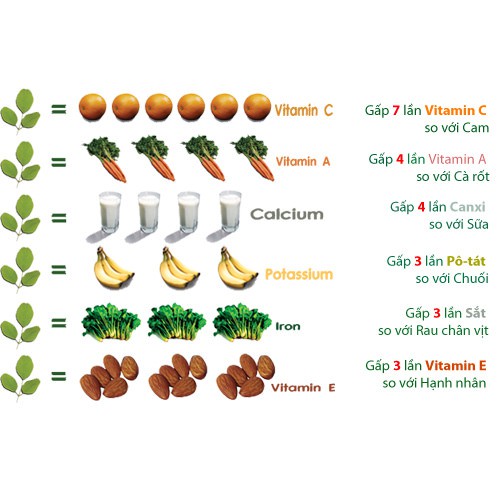 Hạt Giống Chùm Ngây 2G