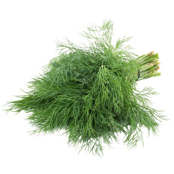 Hạt Giống Thì Là Bốn Mùa 5G