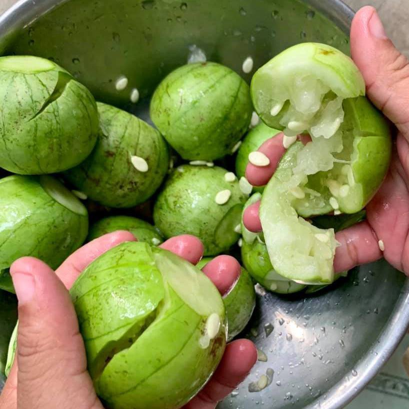 Hạt Giống Dưa Hấu Nụ 3G