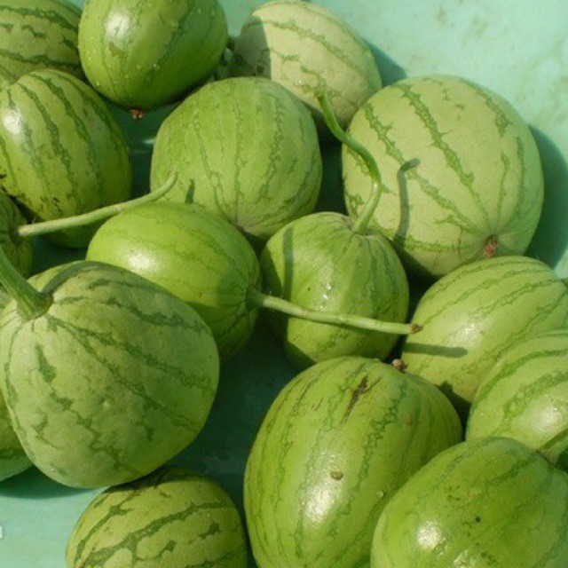 Hạt Giống Dưa Hấu Nụ 3G