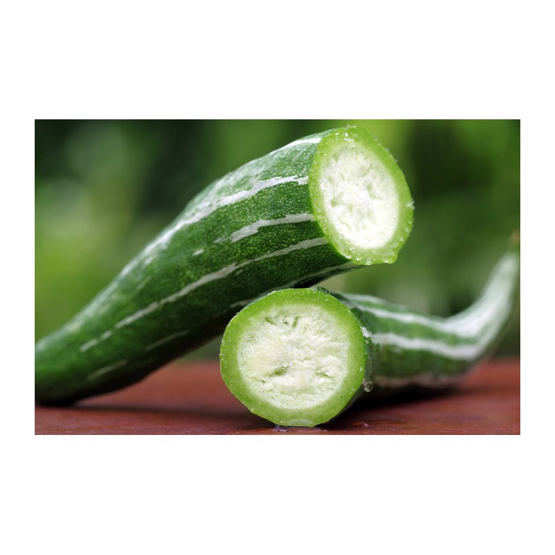 Hạt Giống Mướp Rắn (Lặc Lè, Khổ Qua Tây) 2G