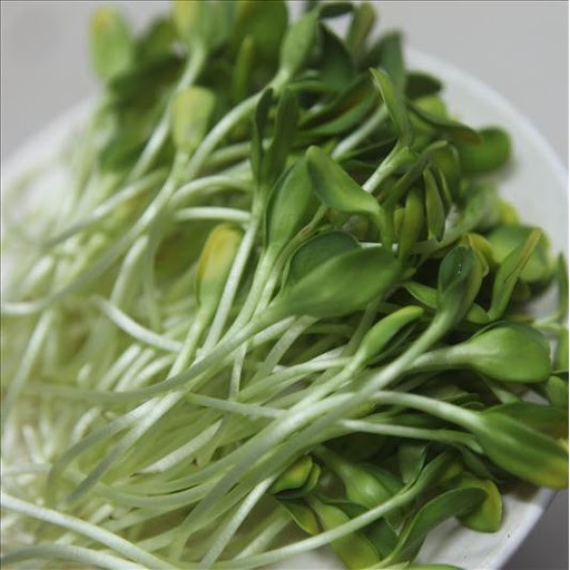 Hạt Giống Rau Mầm Đậu Hà Lan 50G