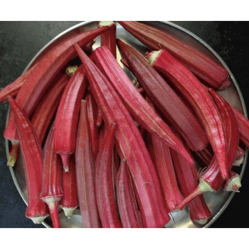 Hạt Giống Đậu Bắp Đỏ Tím 5G