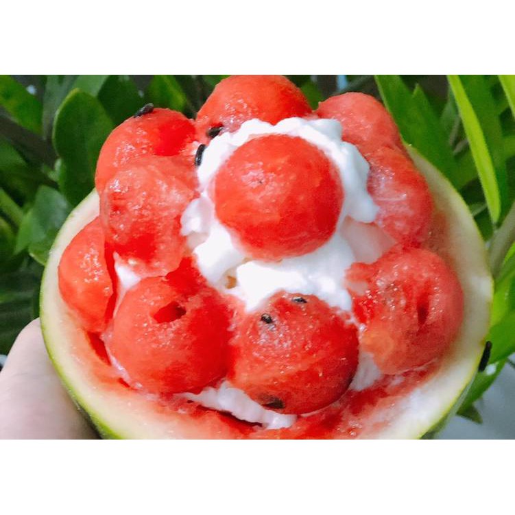 Hạt Giống Dưa Hấu F1 1G