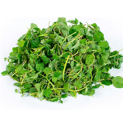 Hạt Giống Rau Dền Tiều