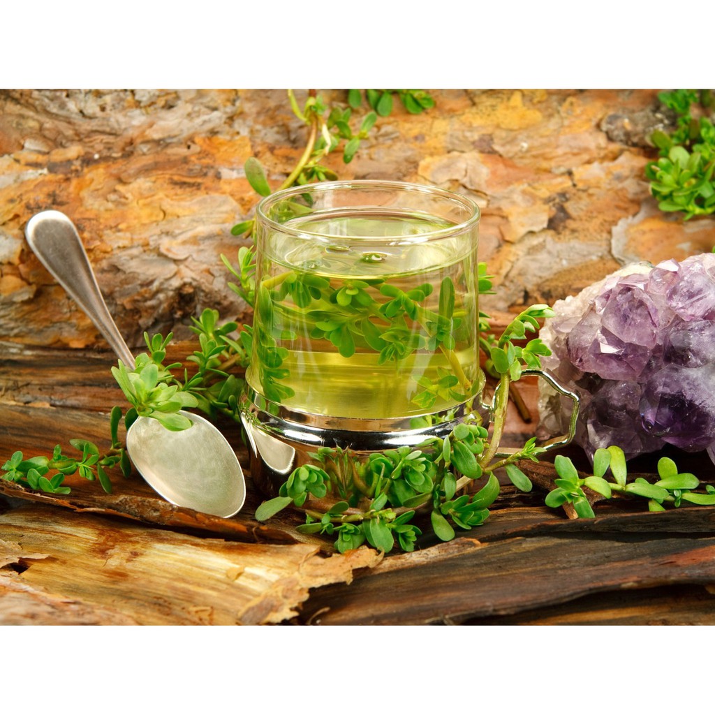 Hạt Giống Rau Sam 2G