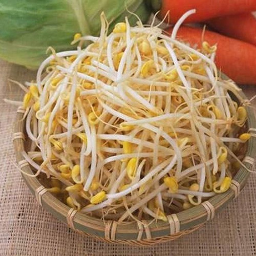 Hạt Giống Rau Mầm Giá Đậu Xanh 100G