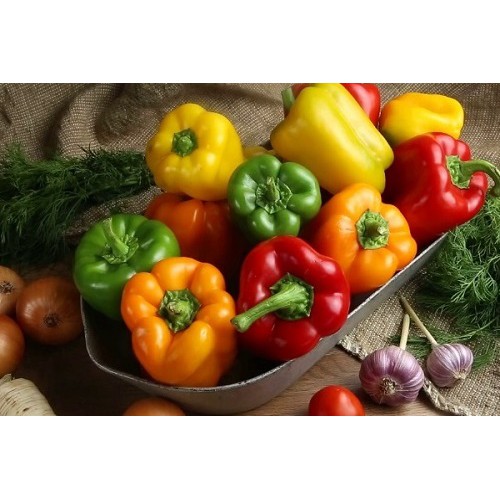 Hạt Giống Ớt Chuông (Ớt Ngọt) 100Mg