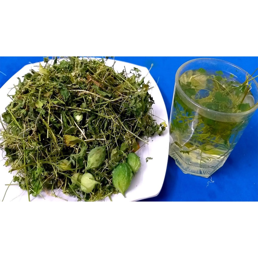 Hạt Giống Khổ Qua Rừng (Mướp Đắng) 1G