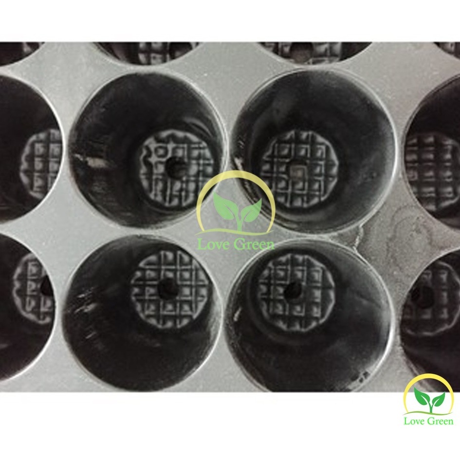 Bộ 5 khay Ươm, Vỉ Ươm Hạt Cây Con 104 Lỗ